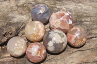 Polished Flower Agate Items x 10 From Madagascar