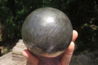 Polished Pharaoh Stone Sphere x 1 From Zimbabwe