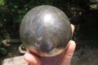 Polished Pharaoh Stone Sphere x 1 From Zimbabwe