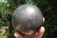 Polished Pharaoh Stone Sphere x 1 From Zimbabwe