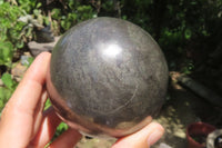 Polished Pharaoh Stone Sphere x 1 From Zimbabwe