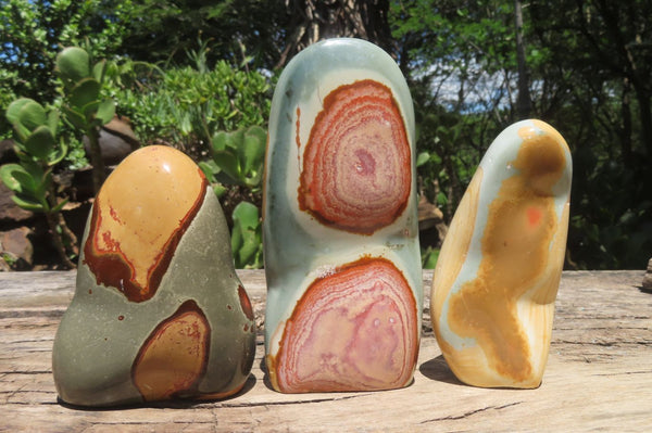 Polished Polychrome Jasper Standing Free Forms x 3 From Mahajanga, Madagascar