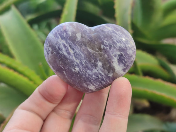 Polished Lepidolite with Pink Rubellite Gemstone Hearts x 6 From Madagascar