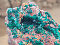 Natural Dioptase Cabinet Specimen x 1 From Reneville Brazzaville, Congo