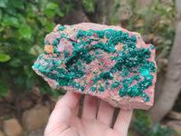 Natural Dioptase Cabinet Specimen x 1 From Reneville Brazzaville, Congo