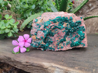 Natural Dioptase Cabinet Specimen x 1 From Reneville Brazzaville, Congo