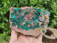 Natural Dioptase Cabinet Specimen x 1 From Reneville Brazzaville, Congo