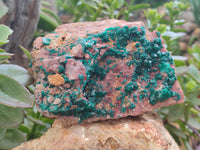 Natural Dioptase Cabinet Specimen x 1 From Reneville Brazzaville, Congo