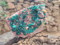 Natural Dioptase Cabinet Specimen x 1 From Reneville Brazzaville, Congo