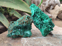 Natural Silky Malachite Specimens x 5 From Kasompe, Congo