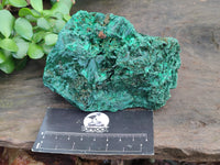 Natural Silky Malachite Specimens x 5 From Kasompe, Congo