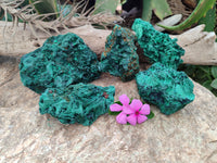 Natural Silky Malachite Specimens x 5 From Kasompe, Congo