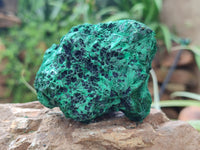 Natural Silky Malachite Specimens x 5 From Kasompe, Congo