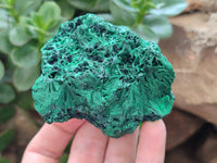 Natural Silky Malachite Specimens x 5 From Kasompe, Congo