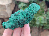 Natural Silky Malachite Specimens x 5 From Kasompe, Congo