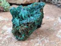 Natural Silky Malachite Specimens x 5 From Kasompe, Congo