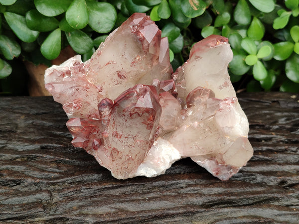 Natural Red Hematoid Phantom Quartz Cluster x 1 From Karoi, Zimbabwe