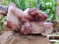 Natural Red Hematoid Phantom Quartz Cluster x 1 From Karoi, Zimbabwe