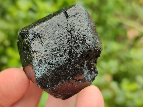 Natural Alluvial Schorl Black Tourmaline Crystals x 35 From Zimbabwe