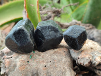 Natural Alluvial Schorl Black Tourmaline Crystals x 35 From Zimbabwe