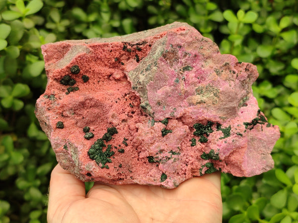 Natural Salrose Cobaltion Dolomite Specimen x 1 From Kakanda, Congo