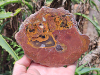 Polished Iron Agate Nodule Pair x 1 From Northern Cape, South Africa