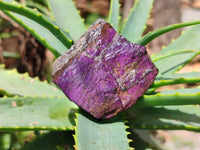 Natural Metallic Purpurite Cobbed Specimens x 12 From Erongo, Namibia