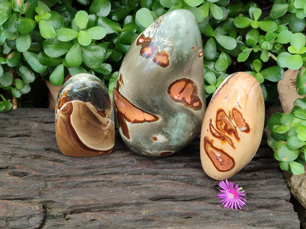 Polished Polychrome Jasper Standing Free Forms x 3 From Madagascar