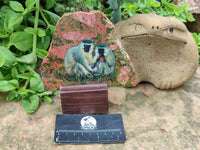 Hand Made Vervet Monkey Family Decoupage on Unakite Stone Slabs - sold per item - From Southern Africa