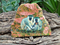 Hand Made Vervet Monkey Family Decoupage on Unakite Stone Slabs - sold per item - From Southern Africa