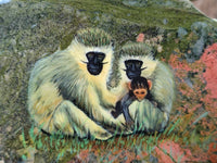 Hand Made Vervet Monkey Family Decoupage on Unakite Stone Slabs - sold per item - From Southern Africa