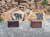 Hand Made Bear Decoupage on Picture Stone Jasper Stone Slabs - sold per item - From Namibia