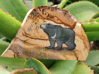 Hand Made Bear Decoupage on Picture Stone Jasper Stone Slabs - sold per item - From Namibia