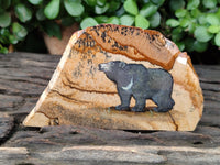 Hand Made Bear Decoupage on Picture Stone Jasper Stone Slabs - sold per item - From Namibia