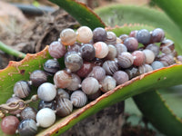 Polished Botswana Agate Ball Shaped Beaded Necklace - Sold Per Item- From Botswana