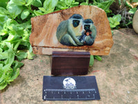 Hand Made Vervet Monkey Family Decoupage on Picture Stone Jasper Stone Slabs - sold per item - From Namibia