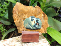 Hand Made Vervet Monkey Family Decoupage on Picture Stone Jasper Stone Slabs - sold per item - From Namibia