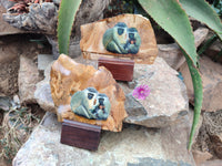 Hand Made Vervet Monkey Family Decoupage on Picture Stone Jasper Stone Slabs - sold per item - From Namibia