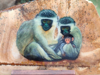 Hand Made Vervet Monkey Family Decoupage on Picture Stone Jasper Stone Slabs - sold per item - From Namibia