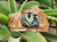 Hand Made Vervet Monkey Family Decoupage on Picture Stone Jasper Stone Slabs - sold per item - From Namibia