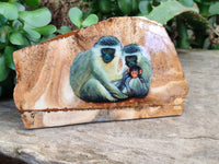 Hand Made Vervet Monkey Family Decoupage on Picture Stone Jasper Stone Slabs - sold per item - From Namibia