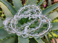 Polished Rock Crystal Stretch Buddha Bracelets - Sold Per Item - From Brazil