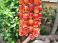 Polished Carnelian Agate Barrel Shaped Beaded Necklace - Sold per Item - From Madagascar