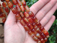 Polished Carnelian Agate Barrel Shaped Beaded Necklace - Sold per Item - From Madagascar