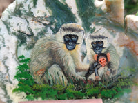 Hand Made Vervet Monkey Family Decoupage on Moss Agate Stone Slabs - sold per item - From South Africa