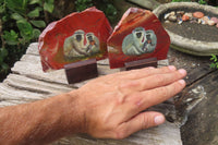 Hand Made Vervet Monkey Family Decoupage on Red Jasper Stone Slabs - sold per item - From South Africa