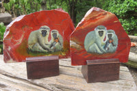 Hand Made Vervet Monkey Family Decoupage on Red Jasper Stone Slabs - sold per item - From South Africa