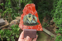 Hand Made Vervet Monkey Family Decoupage on Red Jasper Stone Slabs - sold per item - From South Africa