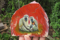 Hand Made Vervet Monkey Family Decoupage on Red Jasper Stone Slabs - sold per item - From South Africa