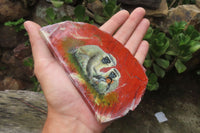 Hand Made Vervet Monkey Family Decoupage on Red Jasper Stone Slabs - sold per item - From South Africa